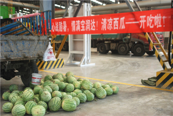 寶潤達(dá)